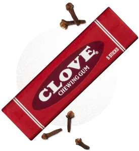 Clove Chewing Gum