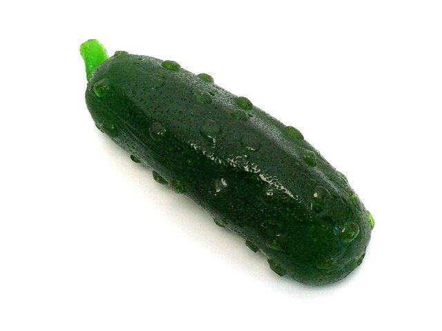 Giant Gummy Pickle - Image 2