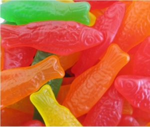 Bulk Candy - Swedish Fish Assorted Flavors