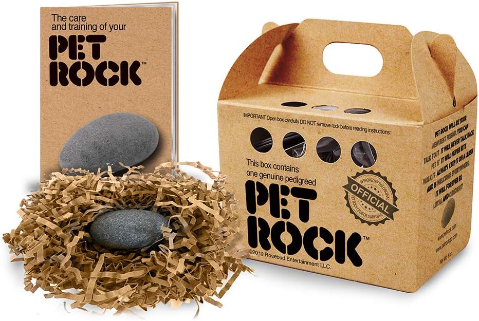 Pet Rock